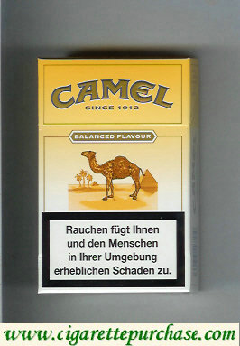 Camel Balanced Flavour Medium cigarettes hard box